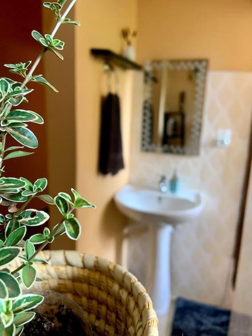 Bungalow X Garten & Terrasse X Wlan X Europaeisch Μόσι Εξωτερικό φωτογραφία