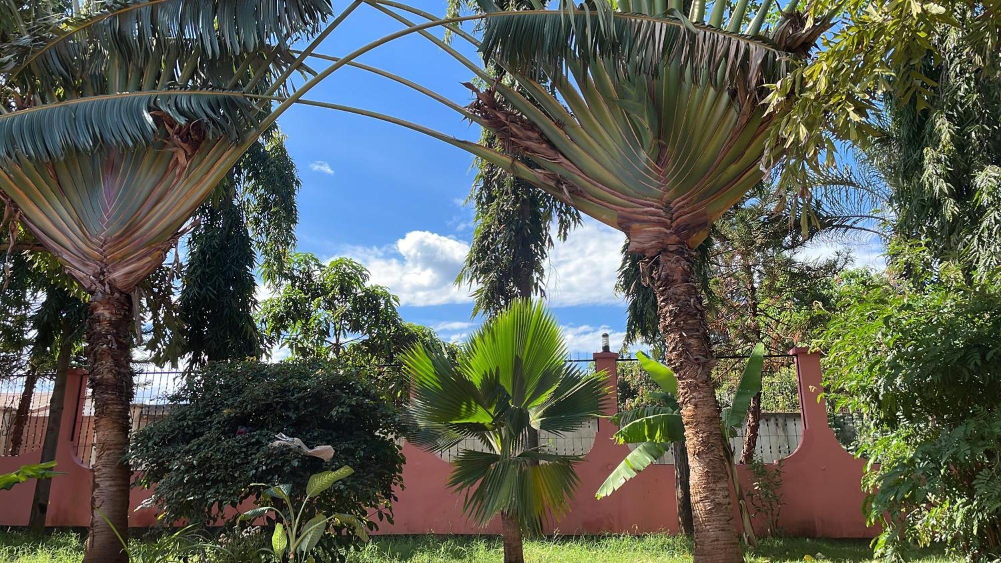 Bungalow X Garten & Terrasse X Wlan X Europaeisch Μόσι Εξωτερικό φωτογραφία